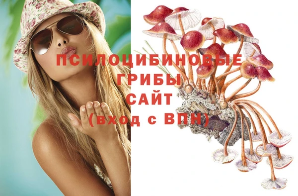 таблы Пестово