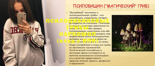 прущий лед Алексеевка