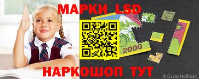 PSILOCYBIN Обнинск