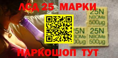 spice Обь