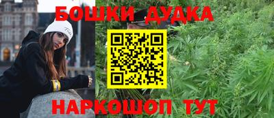 PSILOCYBIN Обнинск