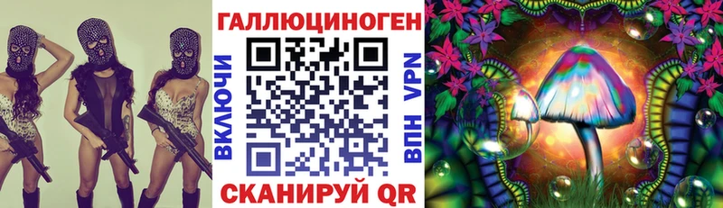 KRAKEN ссылки  Чайковский  Галлюциногенные грибы Psilocybine cubensis 