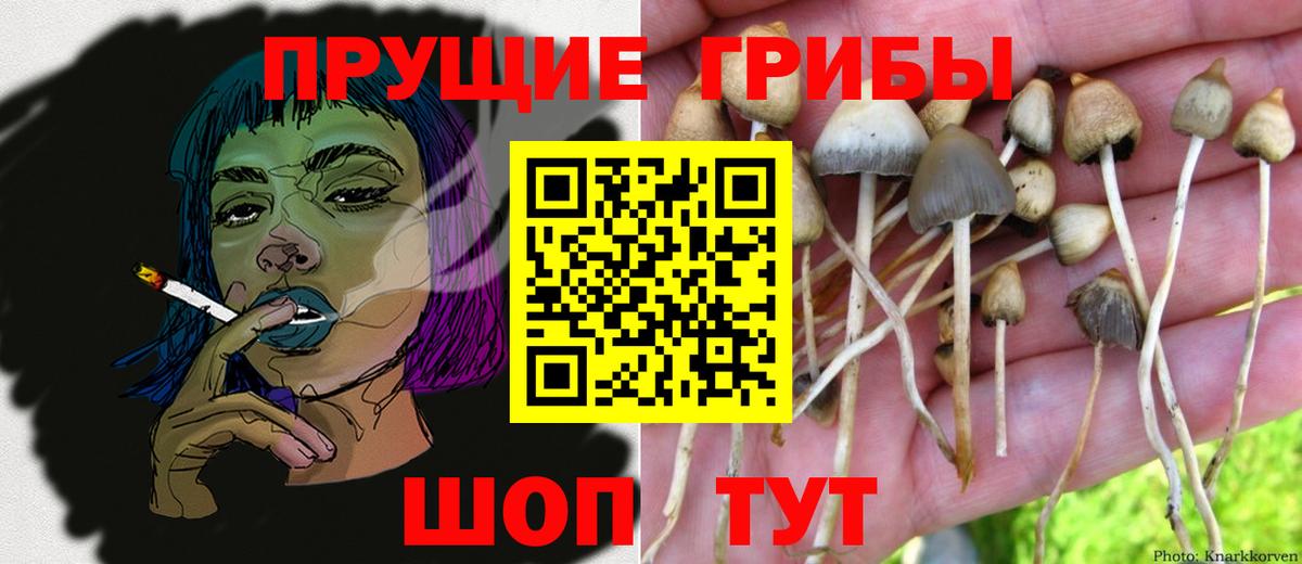 Галлюциногенные грибы мухоморы Чайковский